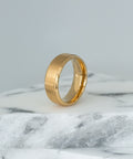 Aureus - ENVICTUS